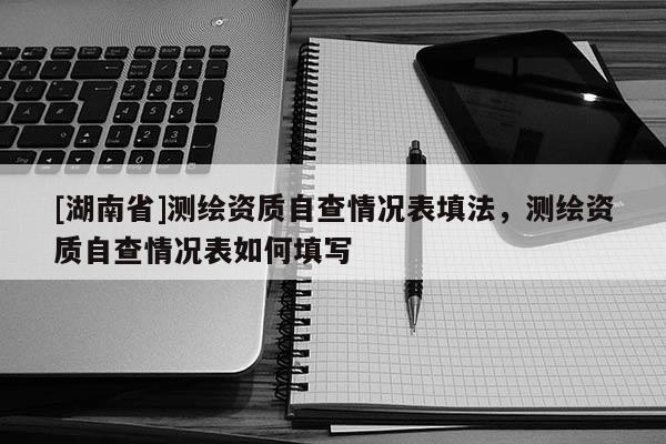 [湖南省]測(cè)繪資質(zhì)自查情況表填法，測(cè)繪資質(zhì)自查情況表如何填寫