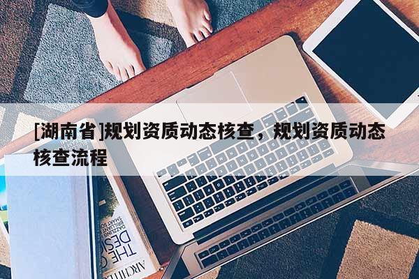 [湖南省]規劃資質動態核查，規劃資質動態核查流程
